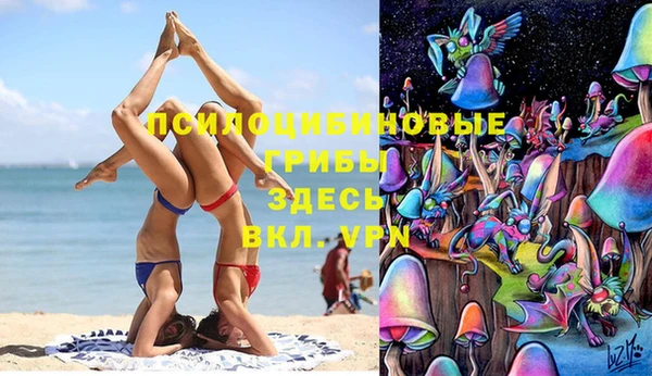 ECSTASY Аркадак